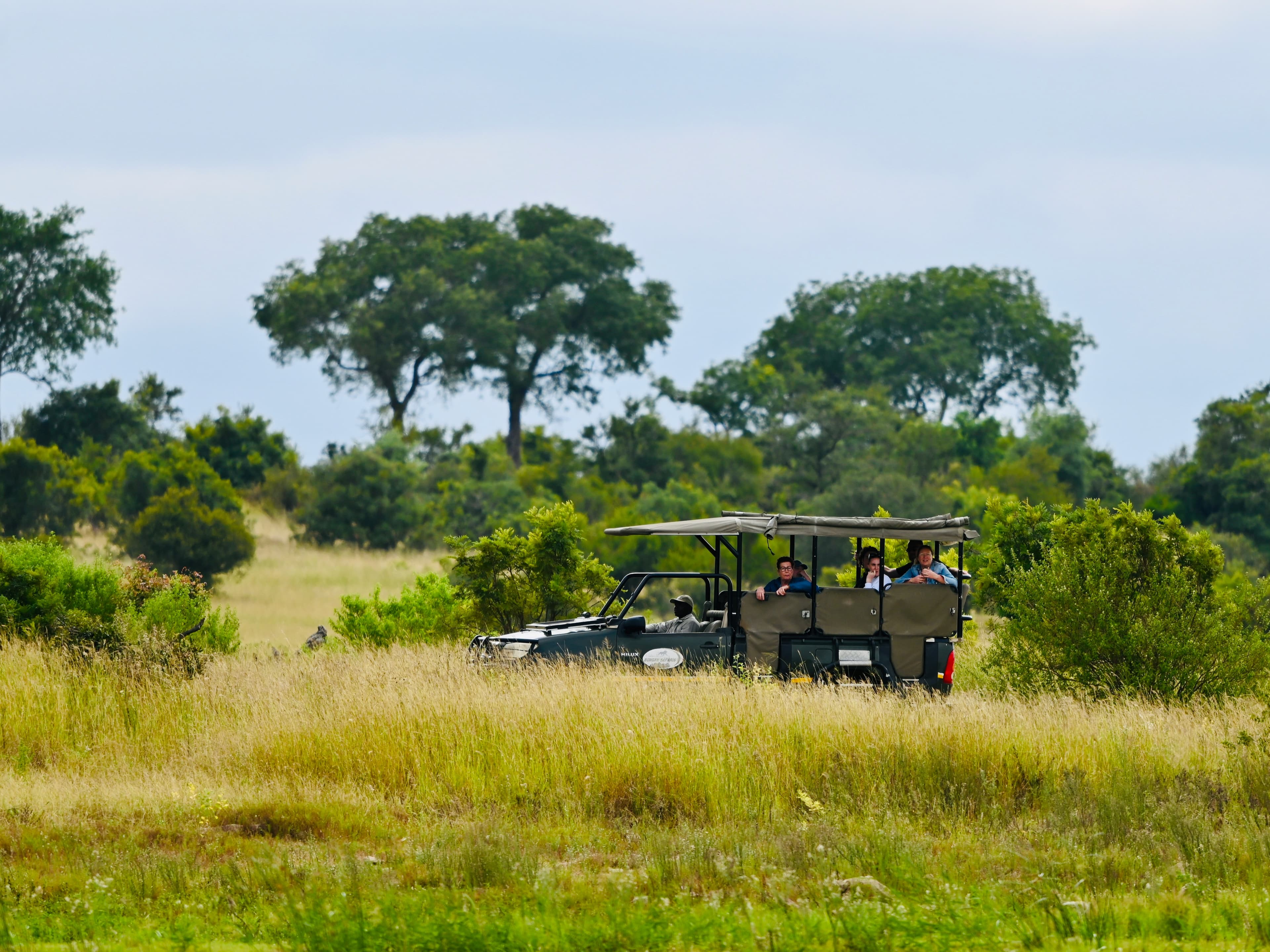 Safari in Yala